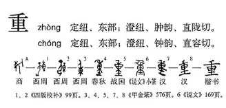 重磅：德约科维奇年薪TOP10(德约科维奇纳达尔费德勒谁网坛地位高)